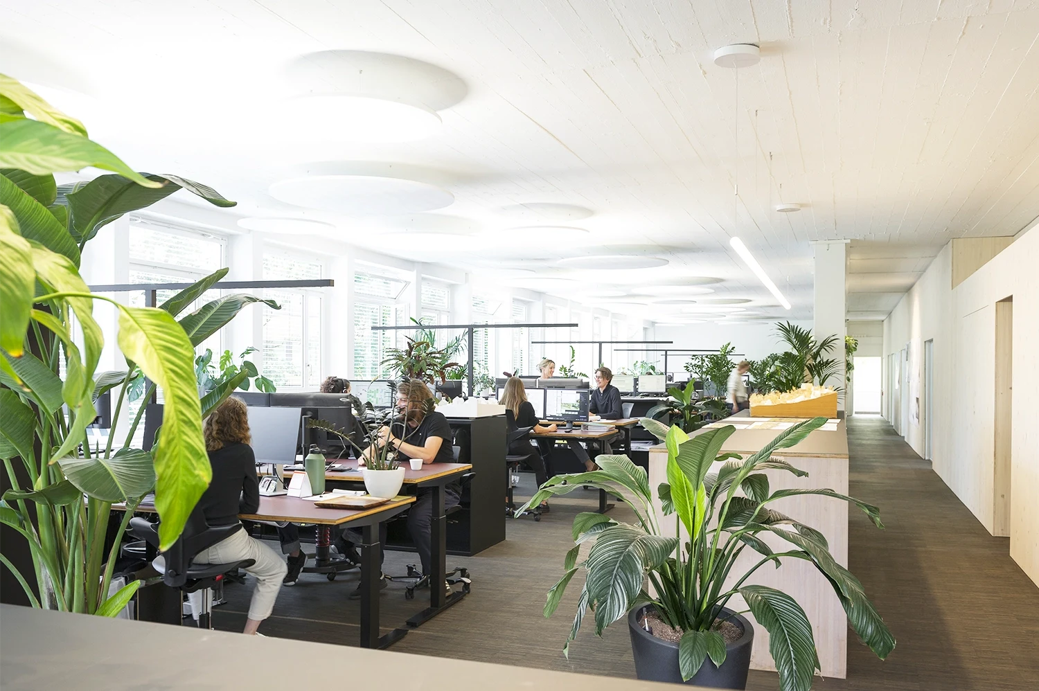 Architekturbüro Kämpfen, Zinke + Partner Zürich | Einblick ins Büro